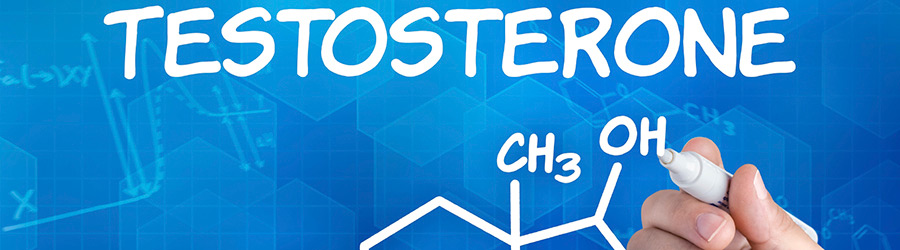 Testosterone Banner