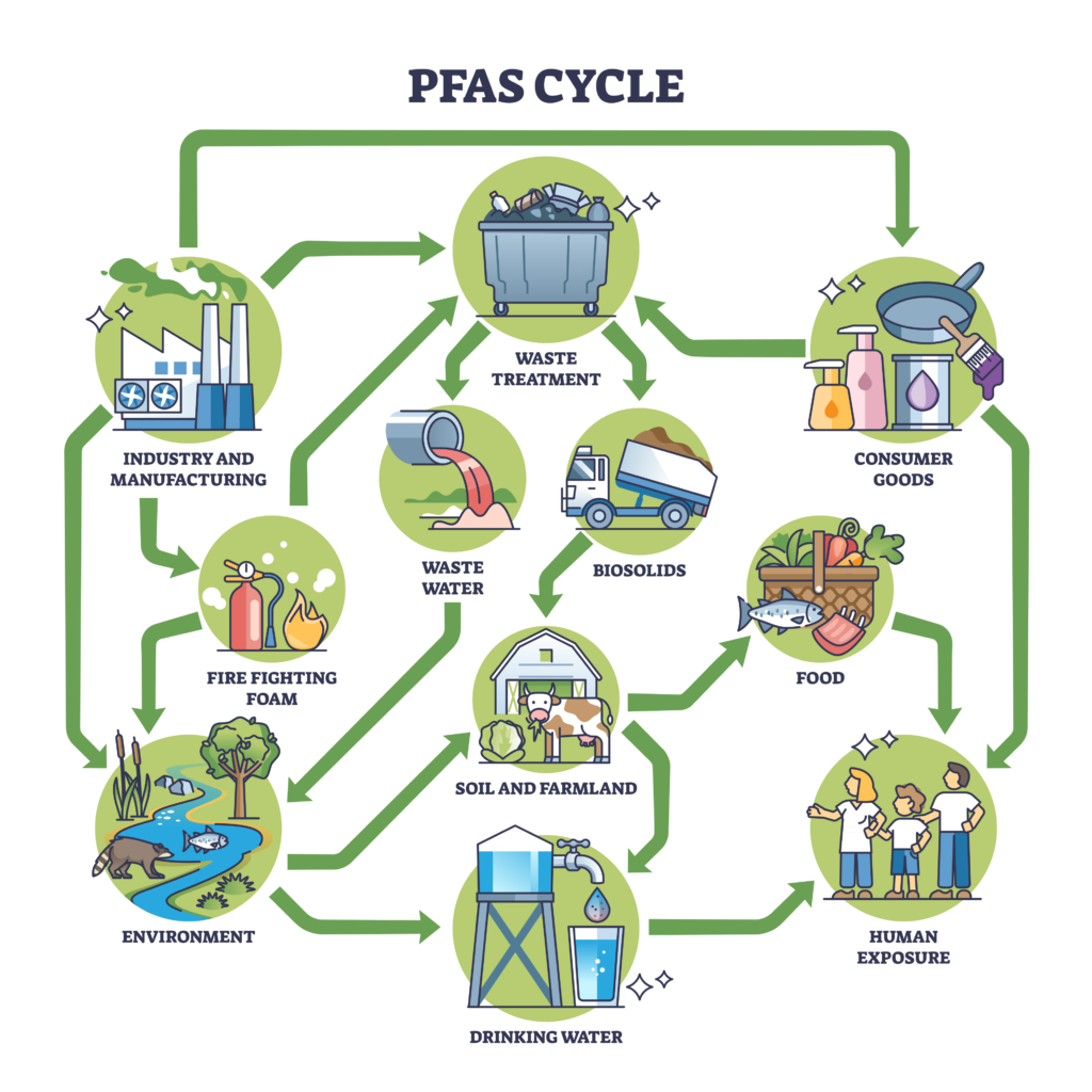 PFAS cycle